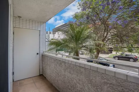 317 S Hamel Rd, Los Angeles, CA 90048 photo 31