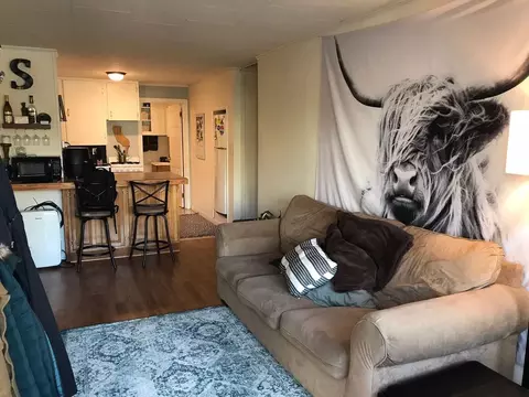 123 Pro, Ithaca, NY 14850