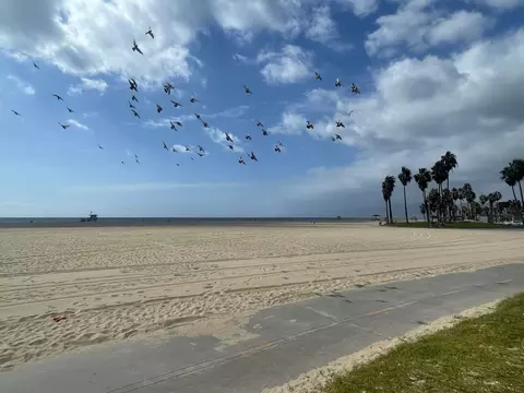 15 Paloma Ave, Venice, CA 90291 photo 28