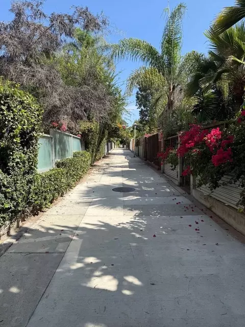 15 Paloma Ave, Venice, CA 90291 photo 22