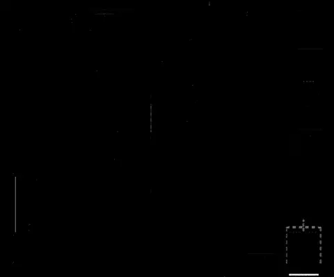 8051 33rd Ave S, Bloomington, MN 55425 photo 2