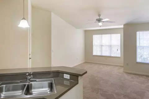 7351 Woodridge Park Dr, Orlando, FL 32818 photo 22