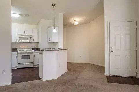7351 Woodridge Park Dr, Orlando, FL 32818 photo 21