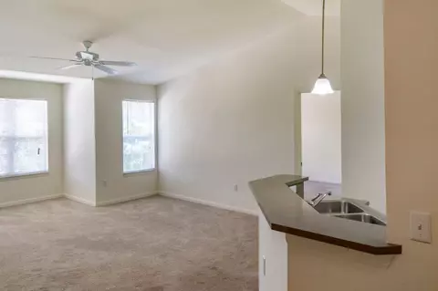 7351 Woodridge Park Dr, Orlando, FL 32818 photo 23