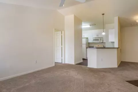 7351 Woodridge Park Dr, Orlando, FL 32818 photo 20