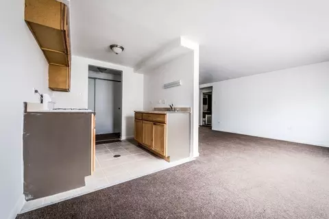 410 E 107th St, Chicago, IL 60628 photo 5