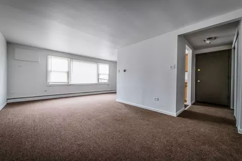 410 E 107th St, Chicago, IL 60628 photo 7