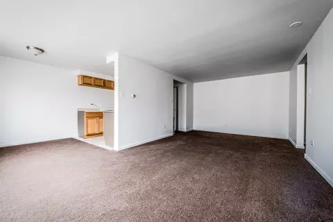 410 E 107th St, Chicago, IL 60628 photo 9