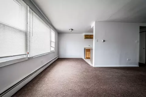410 E 107th St, Chicago, IL 60628 photo 8