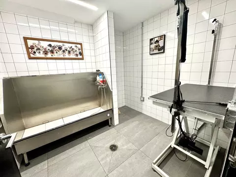 1320 4th St NE, Washington, DC 20002 photo 17
