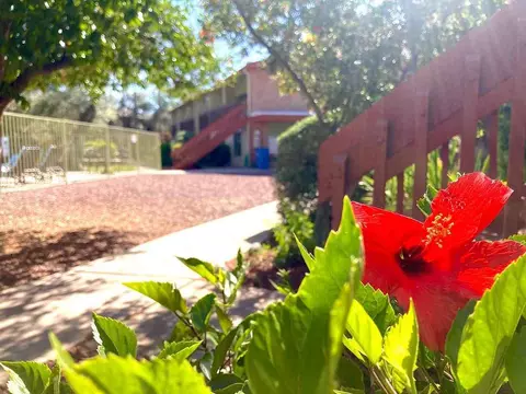 5666 E Hampton St, Tucson, AZ 85712