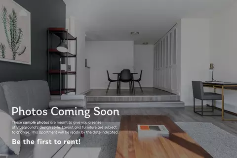 21 E Chestnut St, Chicago, IL 60611 photo 5