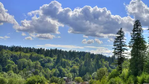 8700 NE Bothell Way, Bothell, WA 98011 photo 24