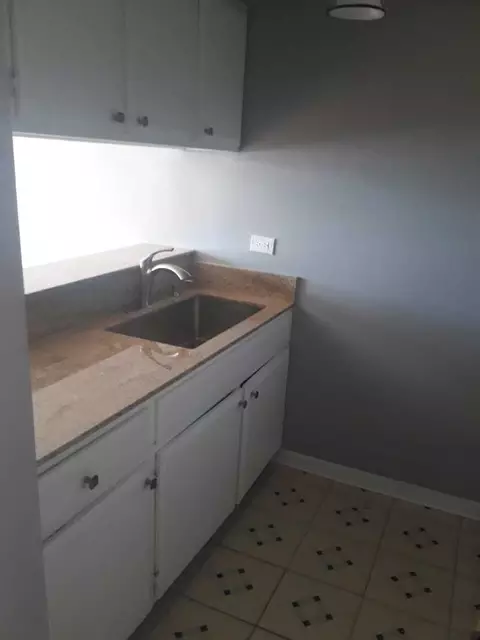 665 W Grace St, Chicago, IL 60613 photo 9