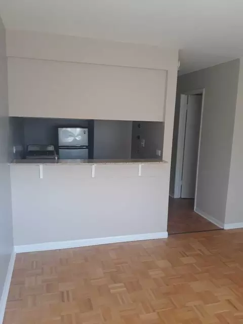 665 W Grace St, Chicago, IL 60613 photo 8