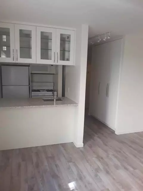 665 W Grace St, Chicago, IL 60613 photo 4