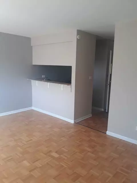 665 W Grace St, Chicago, IL 60613 photo 7