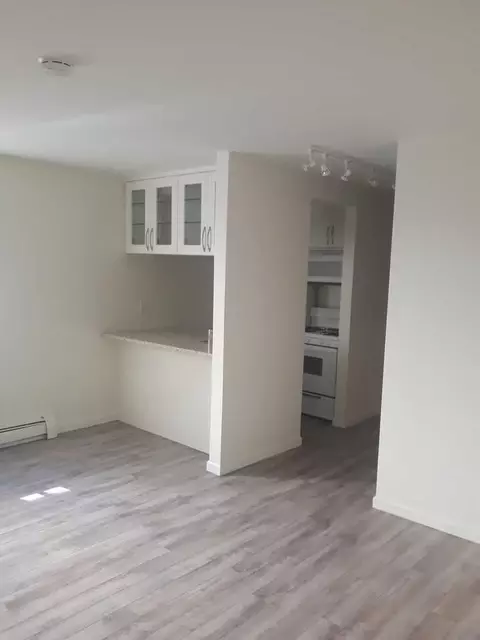 665 W Grace St, Chicago, IL 60613 photo 3