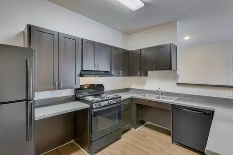 250 Pennsylvania Ave, Fort Worth, TX 76104 photo 4