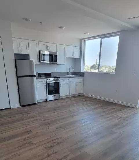 321 E Florence Ave, Los Angeles, CA 90003 photo 11
