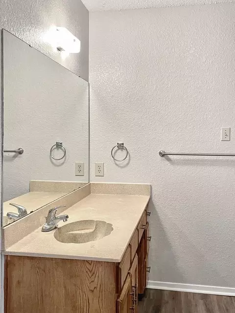 241216 Windy Pine Ln, Arlington, TX 76015 photo 6