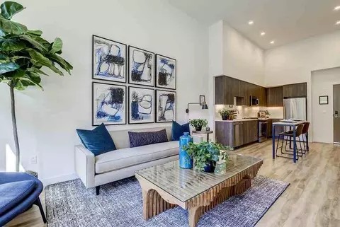 1030 Castro St, Mountain View, CA 94040 photo 37