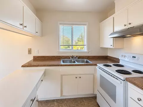 10192 Park Cir E, Cupertino, CA 95014 photo 4