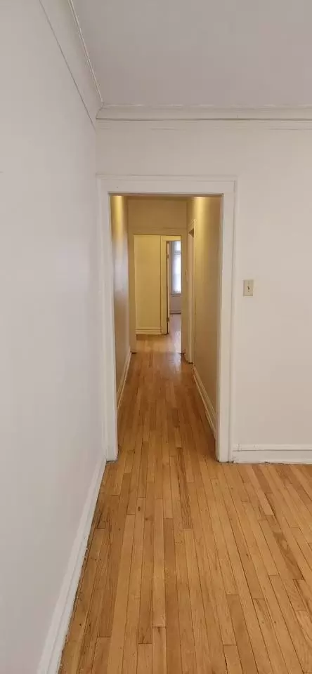 8154 S Marshfield Ave, Chicago, IL 60620 photo 9