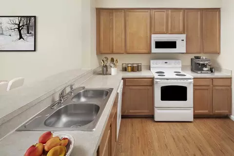 9600 Milestone Way, College Park, MD 20740 photo 20