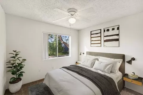 2800 S Mission Rd, Tucson, AZ 85713 photo 14