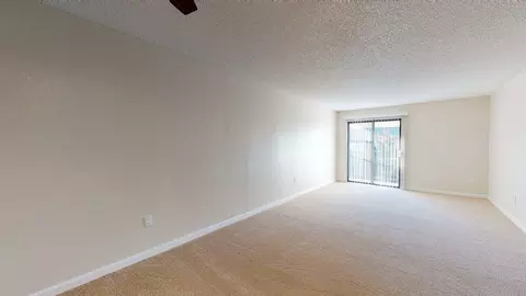 8123 236th St SW, Edmonds, WA 98026 photo 19
