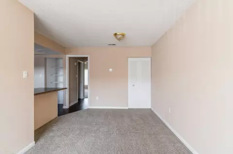 3453 Timber Run Dr, Bloomingdale, FL 33596 photo 35