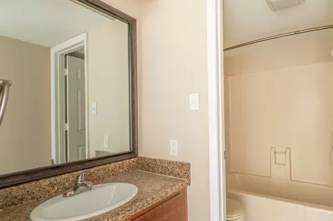 3453 Timber Run Dr, Bloomingdale, FL 33596 photo 32