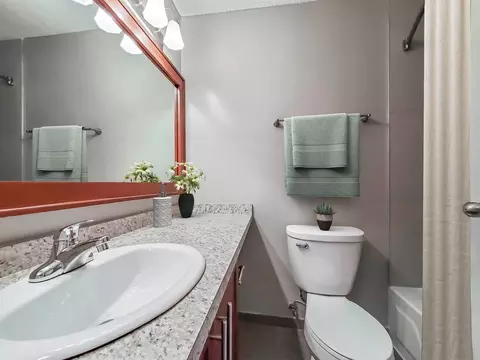 441 Erie St, Chicago, IL 60611 photo 50