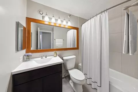 441 Erie St, Chicago, IL 60611 photo 44