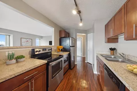 441 Erie St, Chicago, IL 60611 photo 38