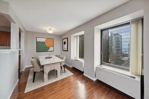 441 Erie St, Chicago, IL 60611 photo 40