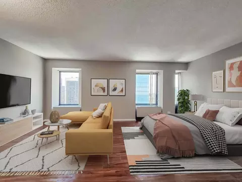 441 Erie St, Chicago, IL 60611 photo 47