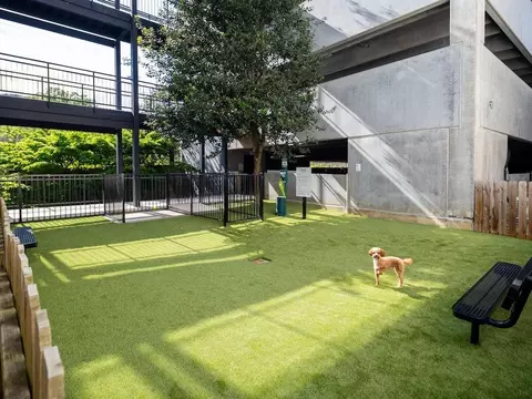 10306 Strathmore Hall St, North Bethesda, MD 20852 photo 38