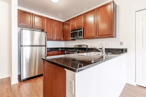 8 E 9th St, Chicago, IL 60605 photo 25