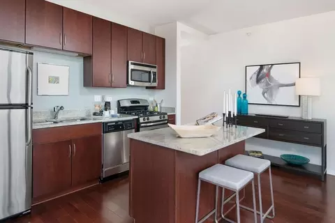 8 E 9th St, Chicago, IL 60605 photo 34
