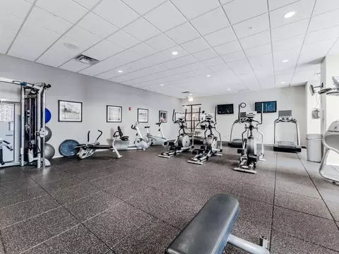 8 E 9th St, Chicago, IL 60605 photo 10