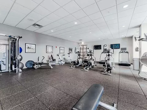 8 E 9th St, Chicago, IL 60605 photo 40
