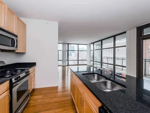 8 E 9th St, Chicago, IL 60605 photo 33