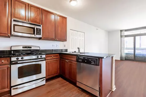 8 E 9th St, Chicago, IL 60605 photo 24