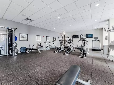 8 E 9th St, Chicago, IL 60605 photo 44