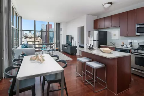 8 E 9th St, Chicago, IL 60605 photo 38