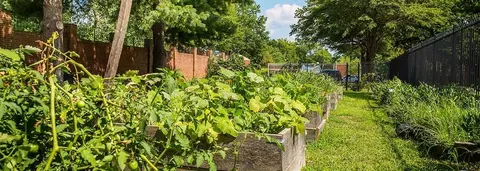 3744 12 Hayes St NE, Washington, DC 20019 photo 6