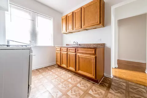 7440 S Phillips Ave, Chicago, IL 60649 photo 28