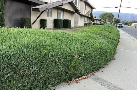 2409 Pattiglen Ave, La Verne, CA 91750